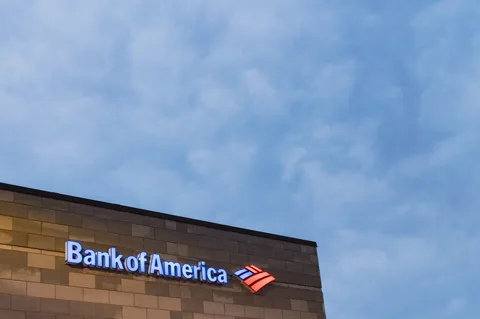 Illuminated Bank of America name and logo on a branch exterior at sunrise.